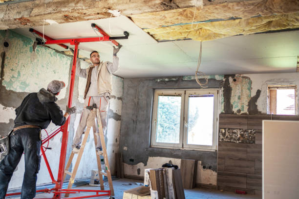 Best Attic Insulation Installation  in Stockton, KS